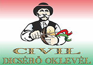 civil dicsero_oklevel_mini